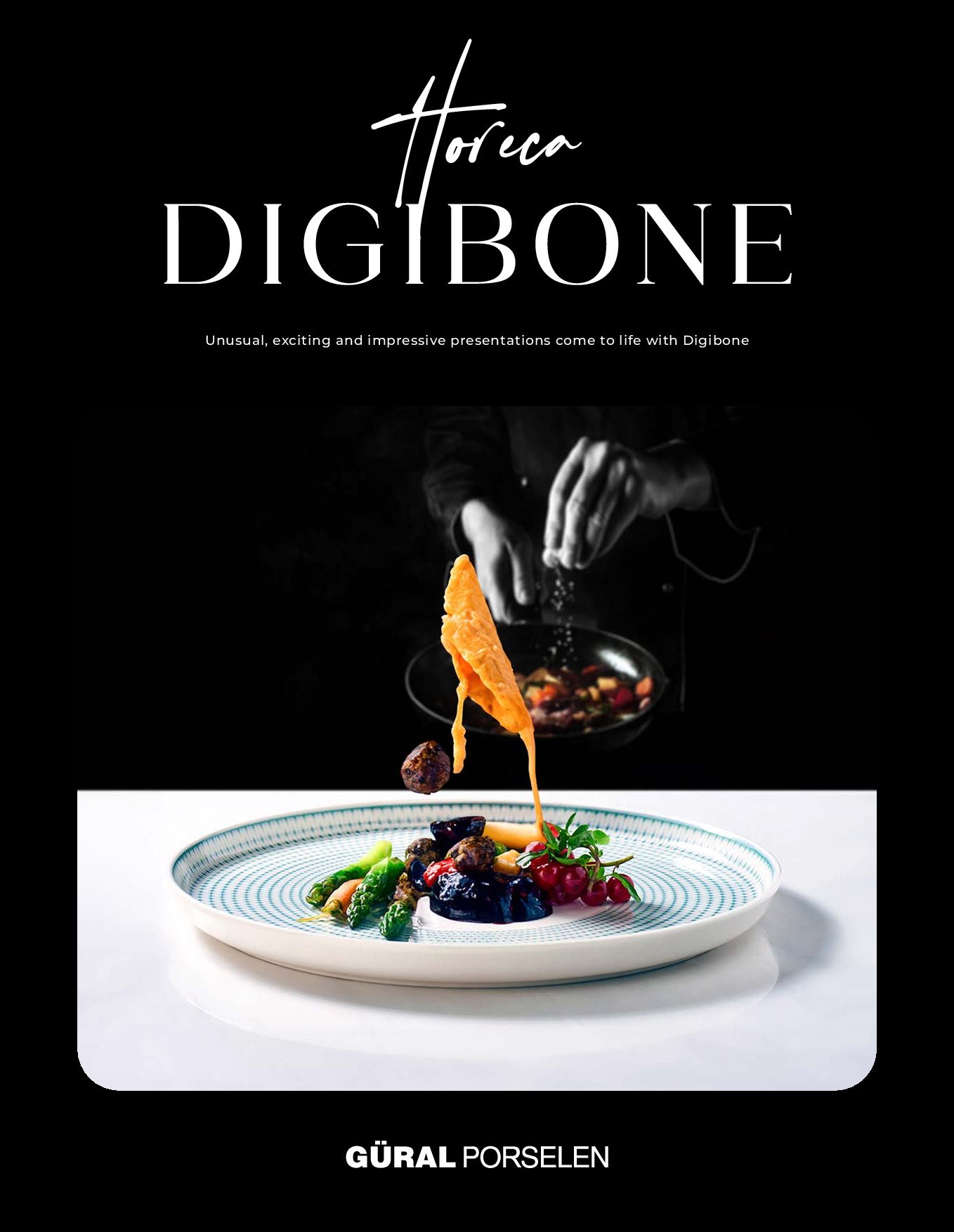 Güral Porselen Digibone Kataloğu - Sayfa 1