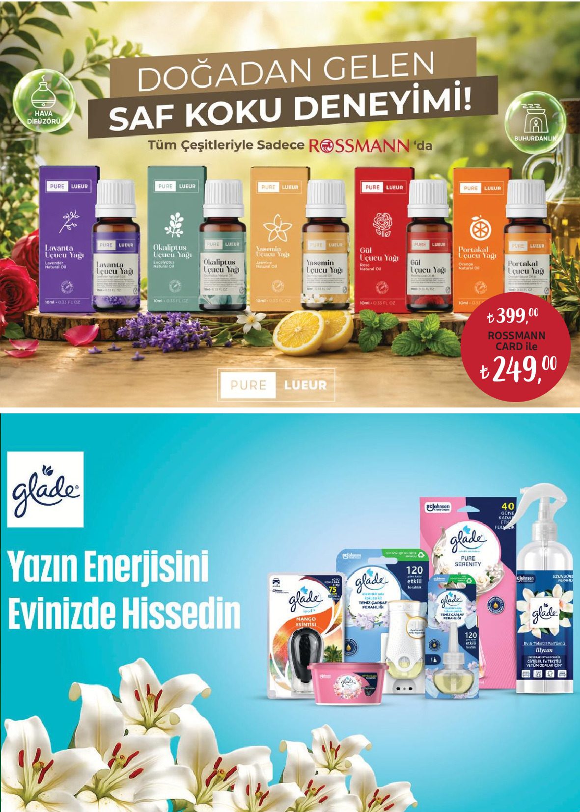 Rossmann 30 Temmuz - 27 Ağustos Ev & Yaşam Kataloğu - Sayfa 5