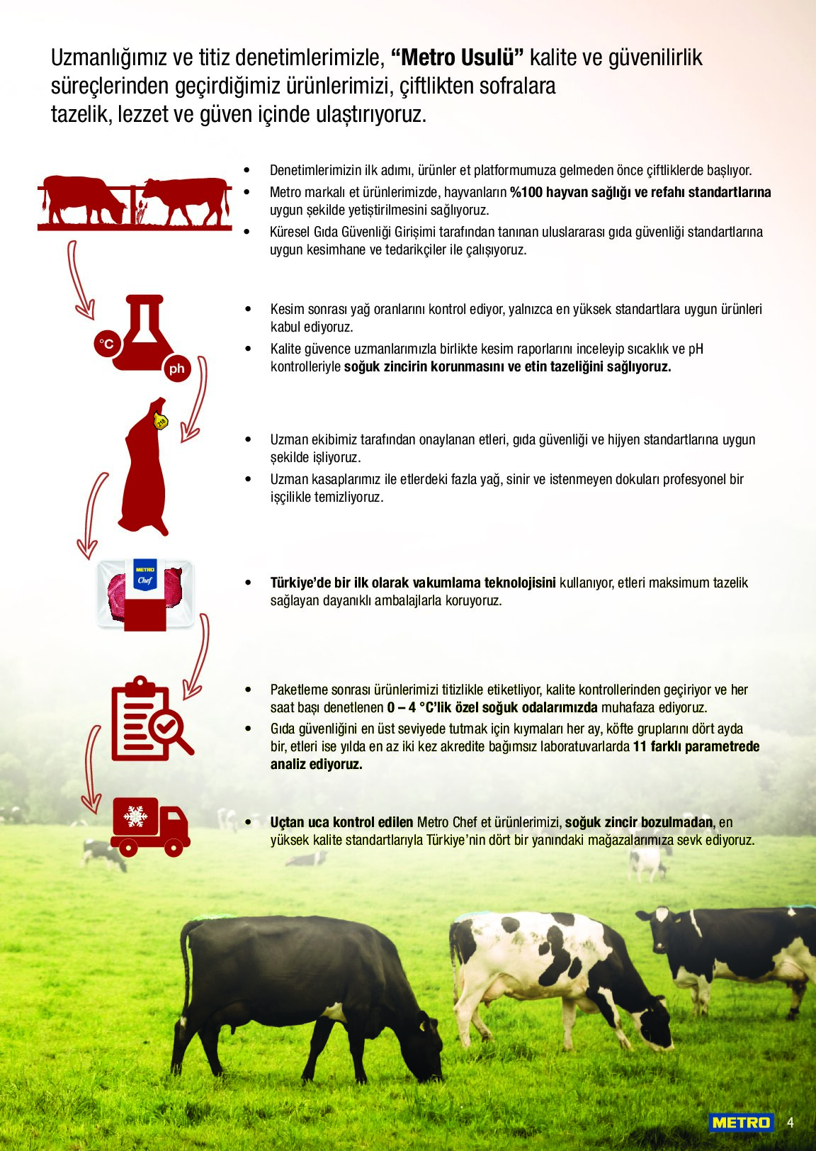 Metro - Metro Chef TT Dana Et Ürünleri - Sayfa 4